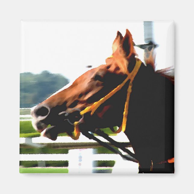Imán Race Horse Magnet (Frente)