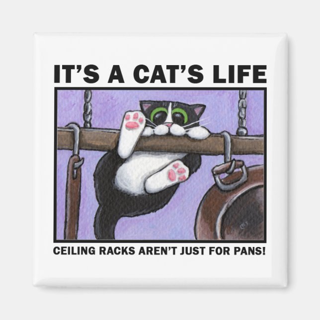 Imán Rack Cat v.01 - Magnates de vida de un gato (Frente)