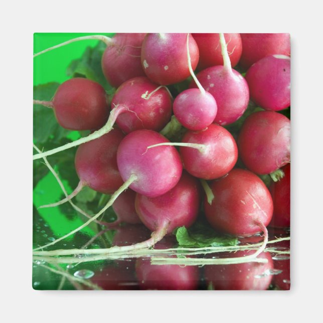 Imán Radish (Frente)