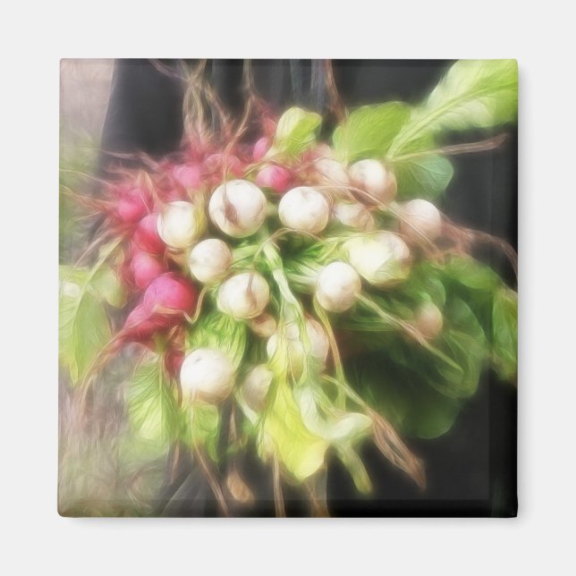 Imán Radish & Turnip Harvest (Frente)