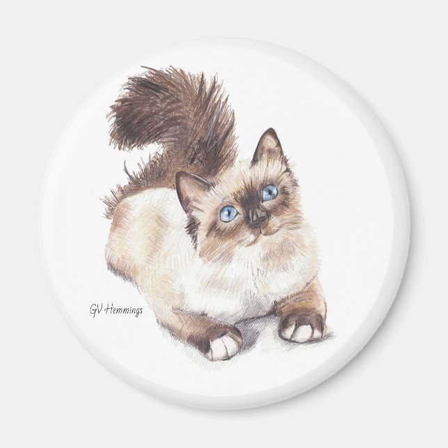 Imán Ragdoll cat por Artist GV Hemmings (Frente)