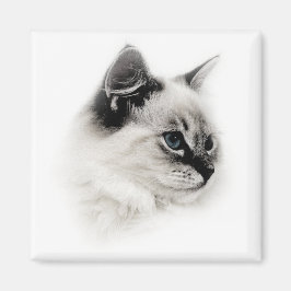 Imán ragdoll magnet