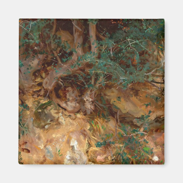 Imán Raíces de olivos silvestres, 1908, de John Singer  (Frente)
