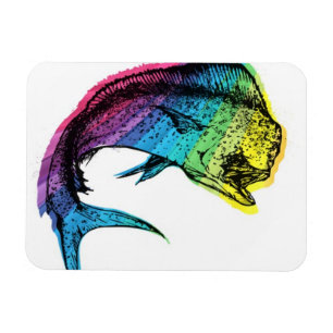 Imán Rainbow Mahi Mahi