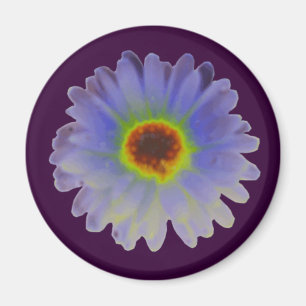 Imán Rainbow Marigold Magnet