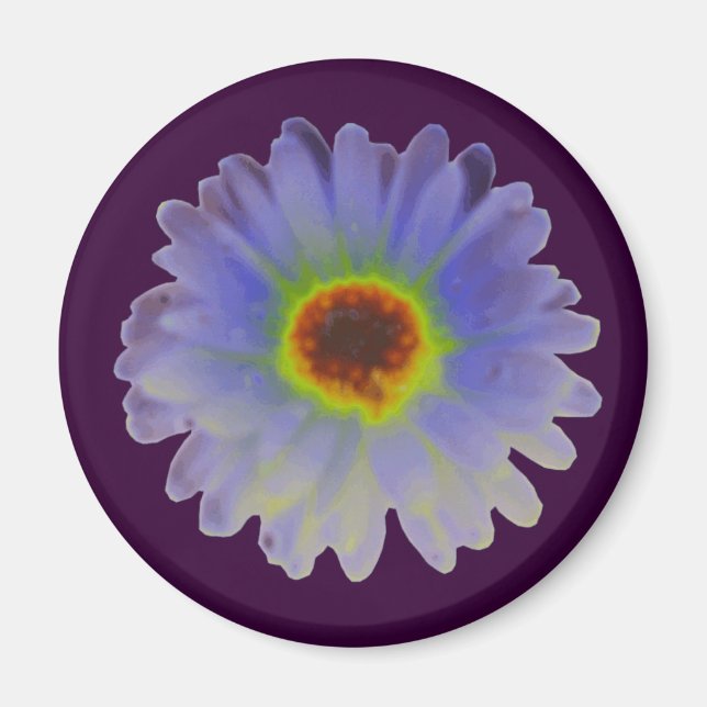 Imán Rainbow Marigold Magnet (Frente)