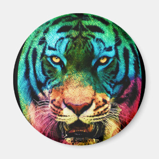 Imán Rainbow Tiger