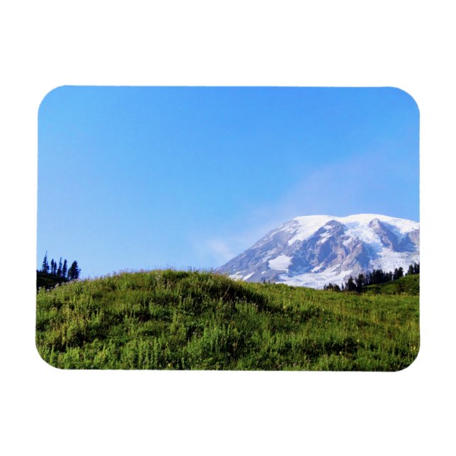 Imán Rainier PDSC230 (Horizontal)