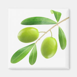 Imán Rama con aceitunas verdes