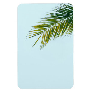 Imán Rama de árbol de palma