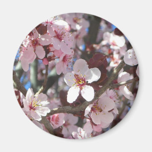 Imán Rama de flores primaverales de flores rosadas