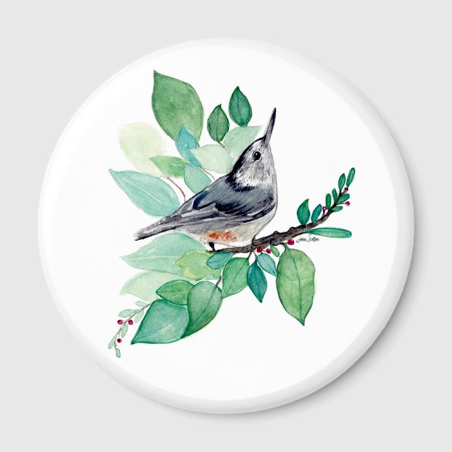Imán Rama de nueces (Nuthatch On Branch Magnet by Jenn Steffen Art)