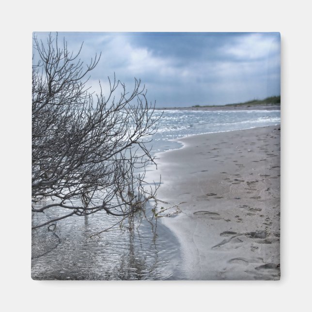 Imán Rama de playa (Frente)