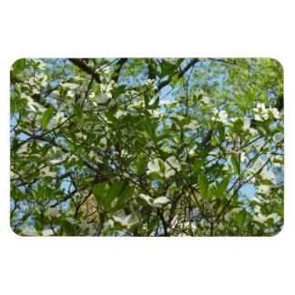 Imán Ramas de Dogwood florecen árboles de primavera