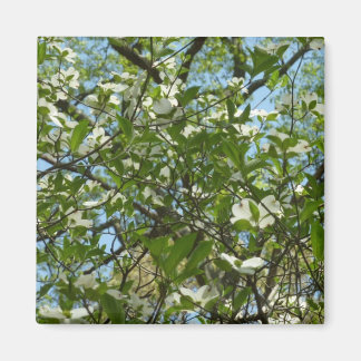 Imán Ramas de Dogwood florecen árboles de primavera