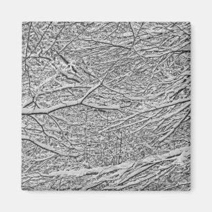 Imán Ramas de nieve