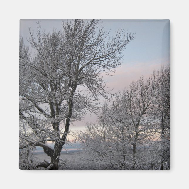 Imán Ramas nevadas (Frente)