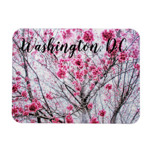 Imán Ramas y flores de un árbol de cerezo