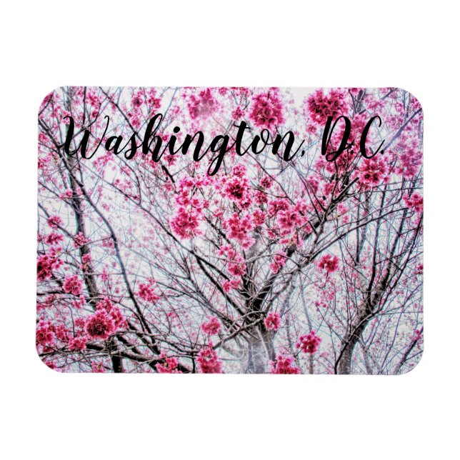 Imán Ramas y flores de un árbol de cerezo (Horizontal)