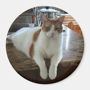 Imán Rambo - Naranja Kitty