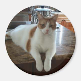 Imán Rambo - Naranja Kitty