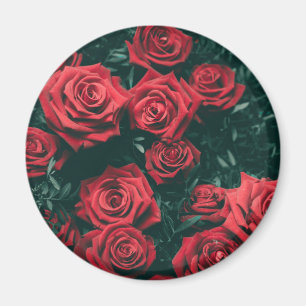 Imán Ramo de rosas rojas