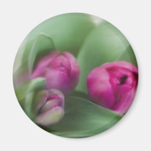 Imán Ramo del tulipán