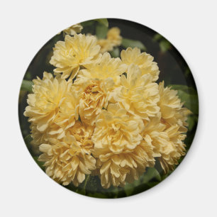 Imán ramo rosa amarillo