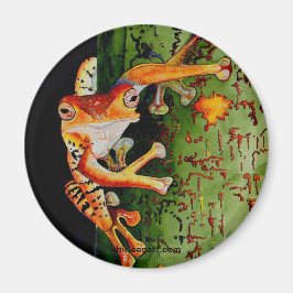 Imán Rana de árbol