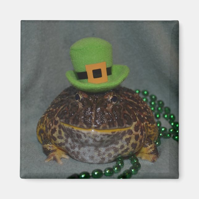 Imán Rana de corte (Frente)