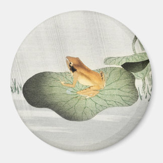 Imán Rana en hoja de loto - Koson Magnet