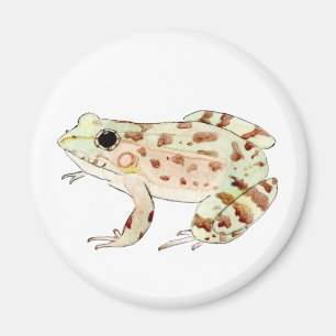 Imán Rana Leopardo