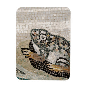 Imán Rana, mosaico del Nilo, de la casa del fauno