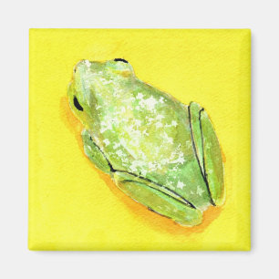 Imán Rana verde en watercolour amarillo del fondo