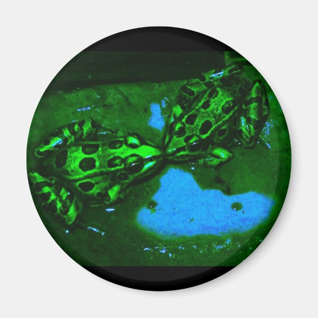 Imán ranas besas (Frente)