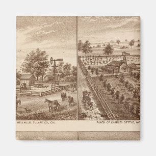 Imán Ranches, establos, Tulare Co, Cal