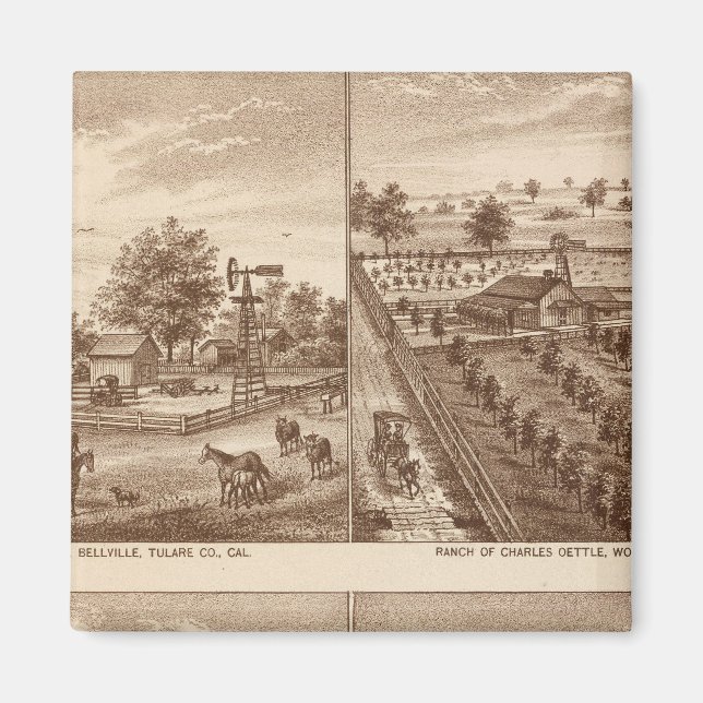 Imán Ranches, establos, Tulare Co, Cal (Frente)