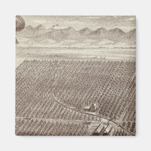 Imán Rancho Chapin Fruit