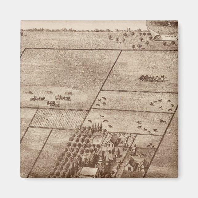 Imán rancho de Bertch (Frente)