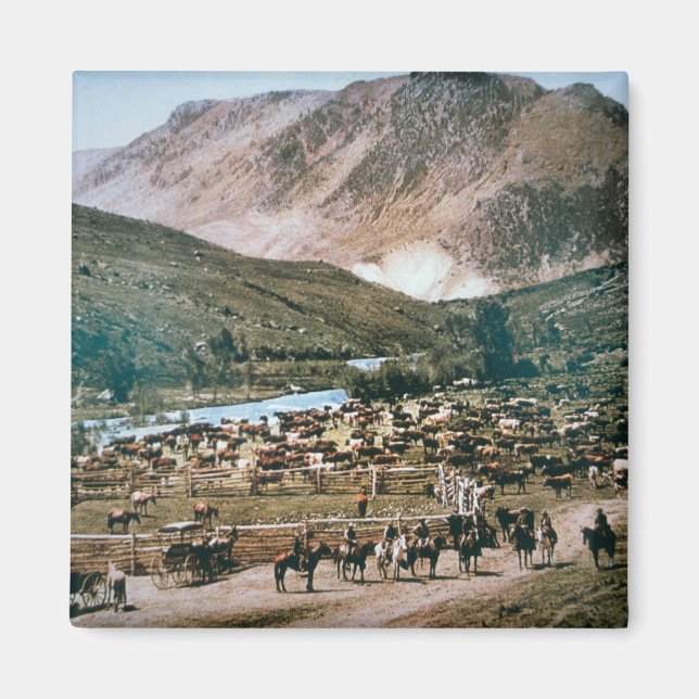 Imán Rancho de ganado, Colorado, 1899 (foto) (Frente)