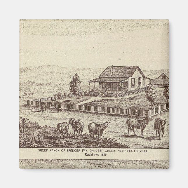 Imán ranchos de ovejas de Creek Deer (Frente)