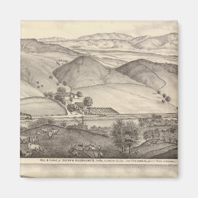 Imán Rangos de Duerr, Nusbaumer, Bachelder (Frente)