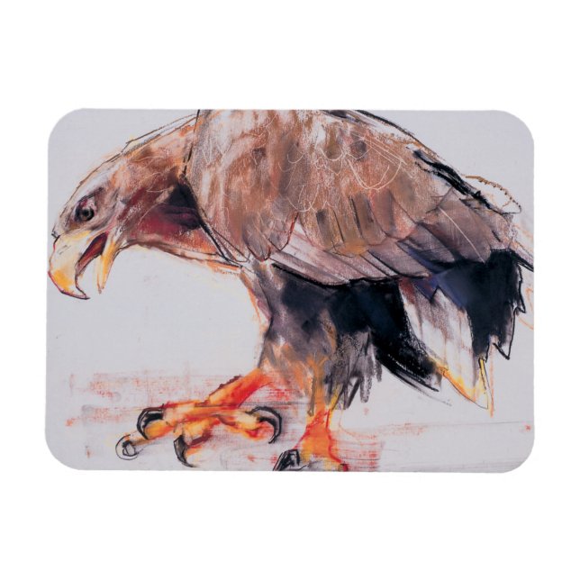 Imán Raptor 2001 (Horizontal)