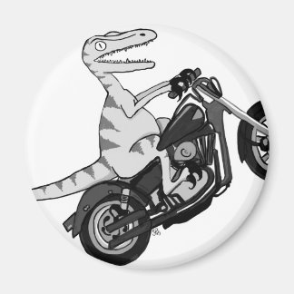 Imán Raptor en un cerdo