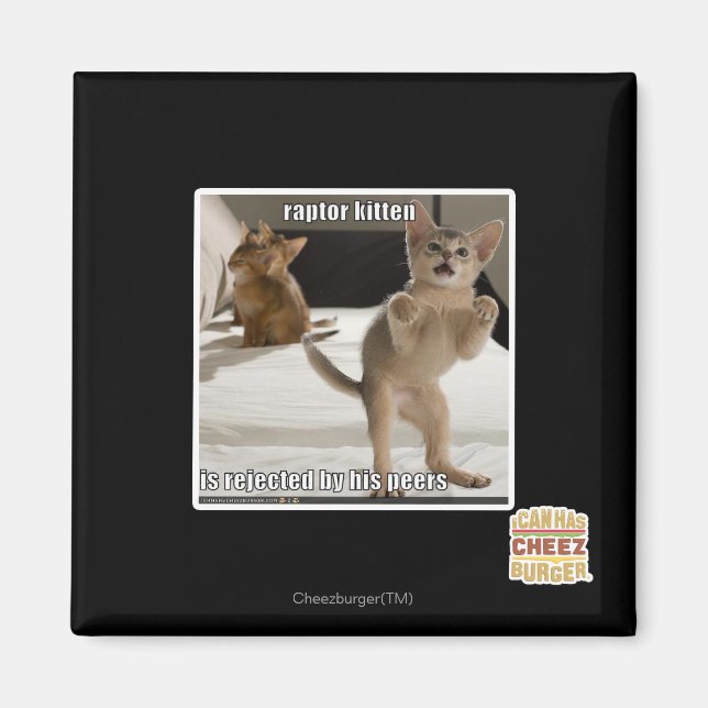 Imán Raptor Kitten (Frente)