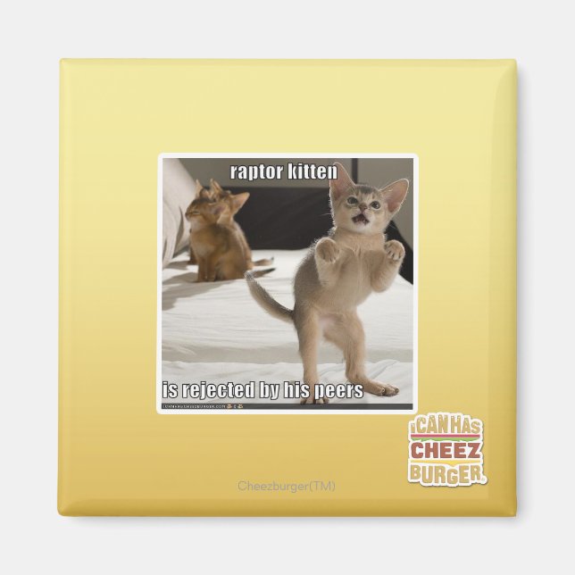 Imán Raptor Kitten (Frente)