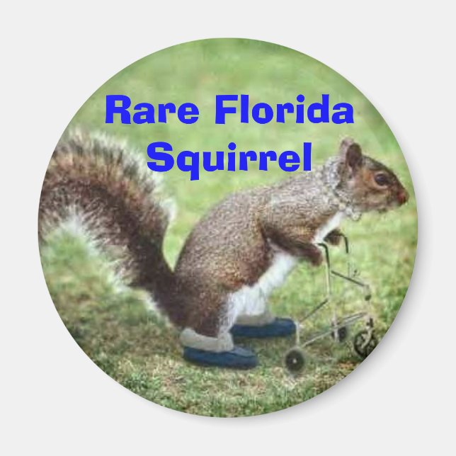 Imán Rare Florida Squirrel (Frente)