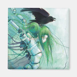 Imán Rasgones desmontados