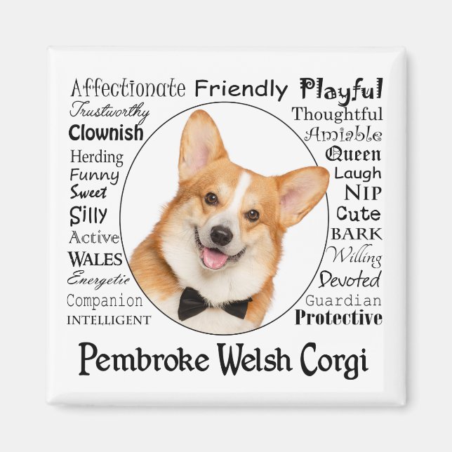 Imán Rasgos de Corgi (Frente)
