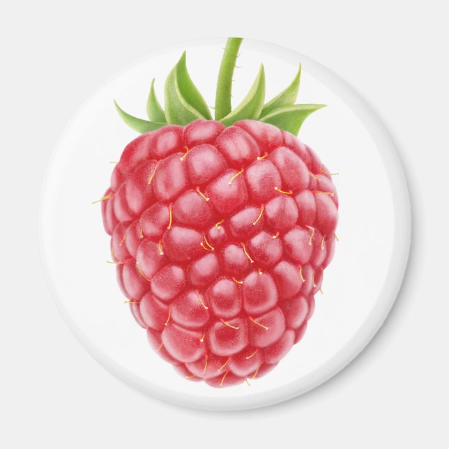 Imán Raspberry (Frente)